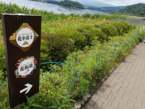 IMG_20210626_093744