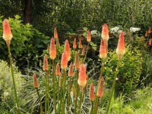 IMG_20210626_094055