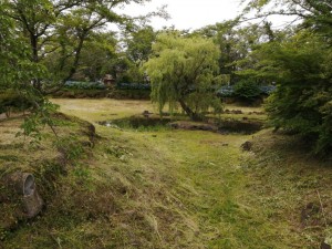 IMG_20210626_103345