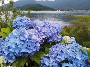 IMG_20210626_103448