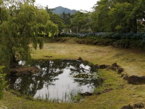 IMG_20210626_103614