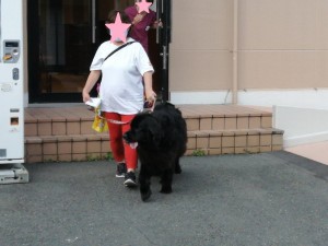IMG_20210710_145432