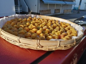 IMG_20210718_055720