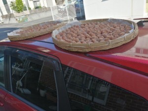 IMG_20210719_161950